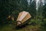 Estonian Forest Sounds