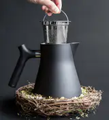 The Raven Stovetop Kettle by Fellow