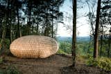 An Organic Cedar Wood Pavilion Filled With Meaning