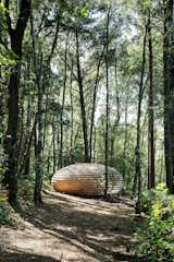 An Organic Cedar Wood Pavilion Filled With Meaning - Photo 4 of 5 - 