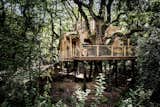 Exterior, House Building Type, Cabin Building Type, Treehouse Building Type, Wood Siding Material, and Flat RoofLine The Woodman's Tree House stands interwoven into the landscape in Dorset as part of a larger luxury camping site.  Photo 1 of 6 in The Woodman’s Treehouse