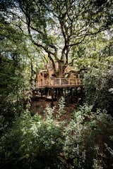 Part of an eco-friendly glamping retreat in Dorset, UK, Woodman’s Treehouse is built using local materials where possible and includes traditional wooden craftsmanship throughout the interior. The structure stands on high stilts to minimize its effect on the land, and all the existing trees are protected and maintained unharmed and untouched.  Photo 6 of 6 in The Woodman’s Treehouse