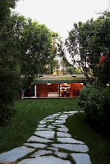 #LushHouse #modern #midcentury #hillside #seclusion #lighting #exterior #outside #landscape #pathway #plants #trees #BeverlyHills #KingsleyStephensonArchitecture