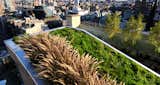 #BroadwayPenthouse #modern #midcentury #exterior #outdoors #outside #rooftop #green #view #NewYork #JoelSandersArchitects
