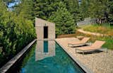 #TurnbullGriffinHaesloop #exterior #outdoor #outside #landscape #pool #lounge   Photo 13 of 14 in Sebastopol Residence by Turnbull Griffin Haesloop Architects