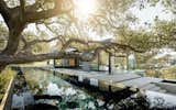 Because the architects wanted to showcase the view of one of the more majestic oaks on the property, they placed a lap pool below the tree so the mirror-like surface of the water would gracefully reflect its image.&nbsp; &nbsp;