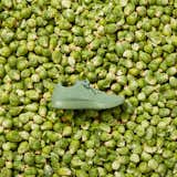 Allbirds Wool Runners