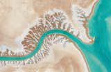 Resembling branches of a tree, these dentritic drainage systems are seen around Iran's Shadegan Lagoon.

Reprinted with permission from Overview by Benjamin Grant, copyright (c) 2016. Published by Amphoto Books, a division of Penguin Random House, Inc. 

Images (c) 2016 by DigitalGlobe, Inc.
