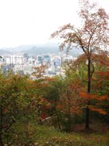 A view of Seoul from 860 above on Namsan Mountain, voted the city's most scenic place.