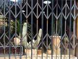 A prickly display welcomes visitors to the Cactus Store, a tiny temple to the plant family in the Echo Park neighborhood of LA.