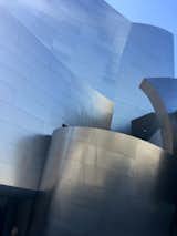 Inaugurated in 2003, Frank Gehry's stainless-steel Disney Concert Hall is a prime example of the sinuous forms he has been able to create using architectural software of his own design.