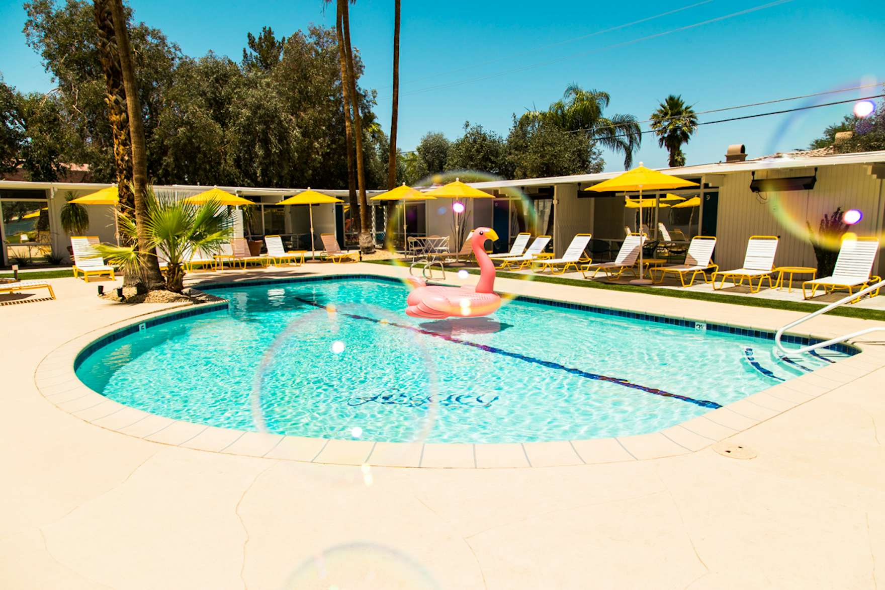 Photo 6 of 6 in This Palm Springs Hotel is Filled with Vintage