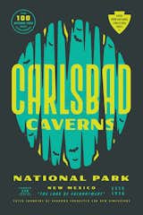 Carlsbad Caverns National Park designed by Lauren Dickens