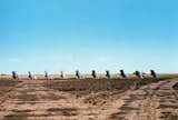 Opening September 9, 2016, Pioneer Works will take a look at the work of the Ant Farm collective, creators of the famous Cadillac Ranch (pictured), and their successor, LST. The exhibition is curated by Gabriel Florenz, director of Pioneer Works, and Liz Flynt. "The Present Is the Form of All Life: The Time Capsules of Ant Farm and LST" runs through October 21, 2016, at Pioneer Works, 159 Pioneer Street, Red Hook, Brooklyn. pioneerworks.org
