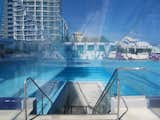 W hotel fort lauderdale  Photo 1 of 2 in Pool Design by Thierry