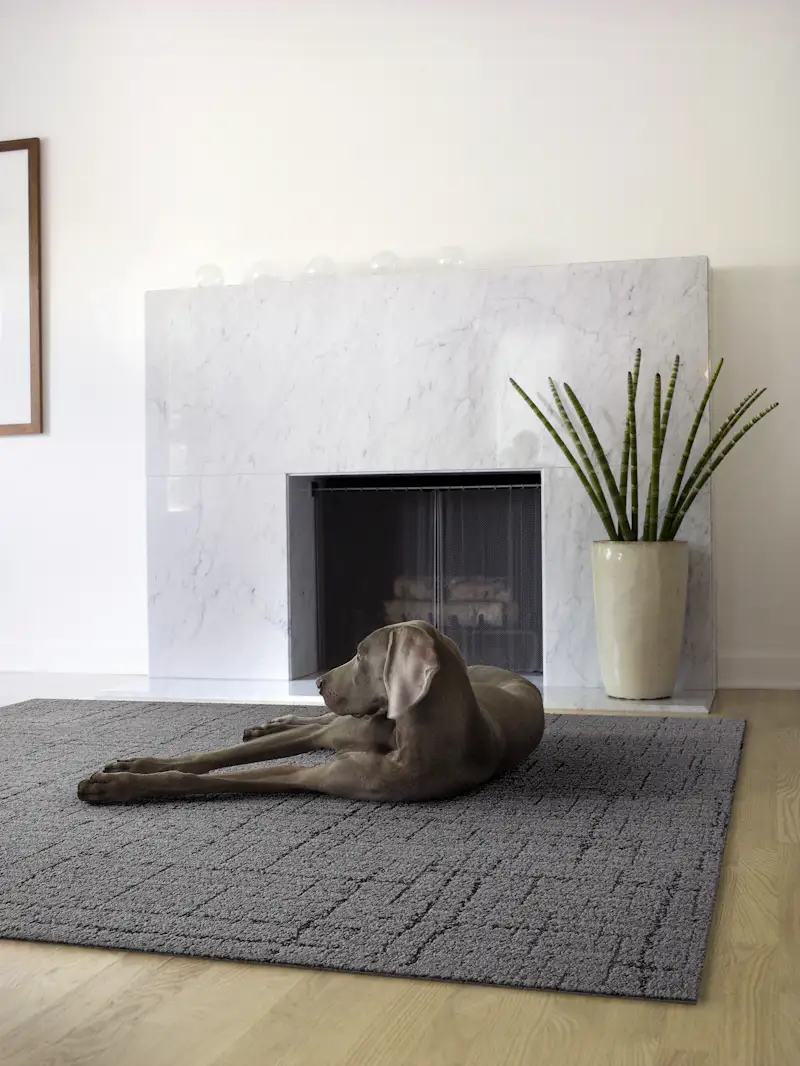 Mix and Match the New FLOR Rug Styles to Your Heart’s Content (5… - Dwell