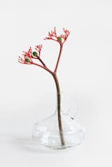 Elixir No.4 - Soliflore #glass #vase #plant #product #productdesign #modern #clean #MargauxKeller