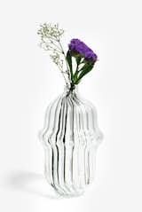 Elixir No.2 - Soliflore #glass #vase #plant #flower #product #productdesign #modern #clean #MargauxKeller
