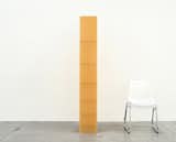 #bookshelf #object #structure #shelves #books #polyurethane #brass #material #change #2013 #NickRoss