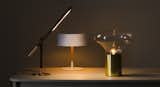 #HabitatTableLamps #lighting #structure #form #dynamic #Habitat #2014 #AaronProbyn 