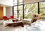 #HermanMillerCreativeDirection #modern #midcentury #structure #interior #inside #indoors #windows #naturallight #seating #table #lighting #BassamFellows