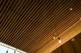 #Artreehoose #form #structure #interior #inside #indoors #modern #midcentury #slats #lighting #windows #LakeCandlewood #Connecticut #JaredDellaValle #BernheimerArchitecture