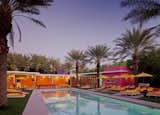 #SuguaroHotel #modern #structure #hotel #midcentury #color #renovation #extrior #outside #outdoor #seating #lounging #pool #palmtrees #lighting #landscape #Arizona #coLABstudio