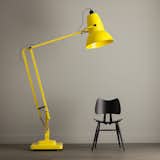 #Austere #Anglepoise