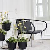 Lounge Chair 