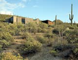 #modern #garciaresidence #ibarrarosanodesignarchitects #architecture #landscape #exterior #arizona #backyard #outdoor #cactus 