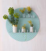 #designcrush #mesh #shelves