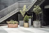 #jeonghwaseo #planters #greenery #trees #planter #storage #modern #design #2015 #twincitynamsan #brass #copper #steel #basalt #granite #korea #seoul  #stone #solid 