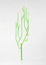 #laetitiadeallegri #design #modern  #exterior #structure #facade #tree #garden #indoor #outdoor #interior #vineplants #2004