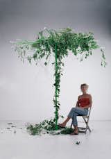 #laetitiadeallegri #design #modern  #exterior #structure #facade #tree #garden #indoor #outdoor #interior #vineplants #2004