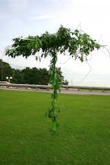 #laetitiadeallegri #design #modern  #exterior #structure #facade #tree #garden #indoor #outdoor #interior #vineplants #2004