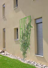 #laetitiadeallegri #design #modern  #exterior #structure #facade #tree #garden #indoor #outdoor #interior #vineplants #2004