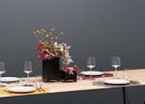 #sebastianscherer #design #Modern  #placemat #dining #mealtime #color #kitchenware  Photo 2 of 6 in Rubber Mat Set by Sebastian Scherer
