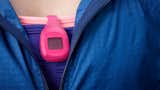 #Fitbit #Zip