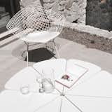 #Knoll #PetalCollection #RichardSchultz