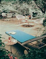 #Knoll #PetalCollection #RichardSchultz