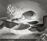 The Bertoia Collection designed by Harry Bertoia, 1952. Image from the Knoll Archive.