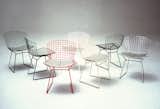 Bertoia Side Chairs shown in green, blue, white, red, white, yellow, black and chrome colorways. Image from the Knoll Archive.