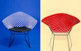 Left: A photograph of the reissued Bertoia Two-Tone Diamond Chair, 2016. Photograph by Knoll Right: A hand-painted advertisement for the Bertoia Two-Tone Diamond Chair from the 1950s. Image from the Knoll Archive.