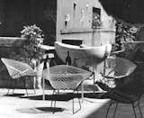 Bertoia Two-Tone Diamond Chairs in Rome. Photograph by Klaus Zougg from the Knoll Archive.