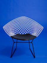  Photo 14 of 19 in Modernity by Knoll, Inc. from Knoll Inspiration: Reintroducing the Bertoia Two-Tone