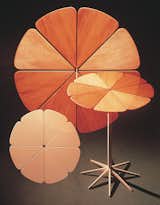  Photo 7 of 19 in Modernity by Knoll, Inc. from Coming Up Roses: The Petal Collection