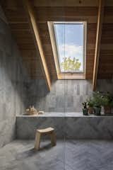 Bath Room and Open Shower  Photo 9 of 12 in This Modern Farmhouse Outside Toronto Makes Its Own Rules