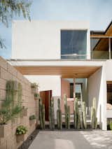 Courtyard House by Ras-a Studio courtyard with cacti fence