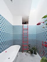 A ladder in Skye's bathroom leads up to a secret passageway.