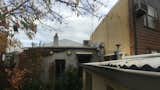 Before: The courtyard was overrun with vines.  Photo 7 of 11 in Before & After: A Terrace House in Melbourne Takes an Unexpected Turn